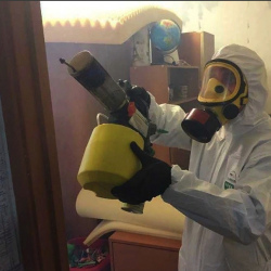 Уничтожение клопов в квартире. Кирсанов